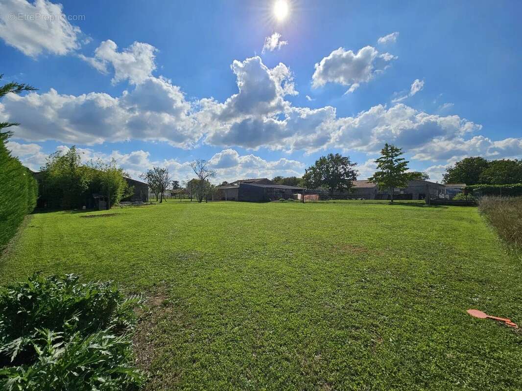 Terrain à LA GREVE-SUR-MIGNON