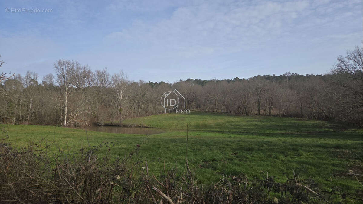 Terrain à SAINT-MARTIN-DE-GURSON
