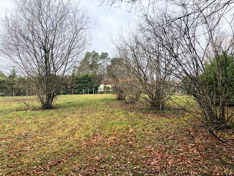 Terrain à CHATEAU-L&#039;EVEQUE