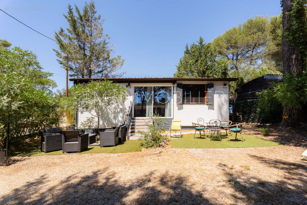 Sous les pins - photo 2