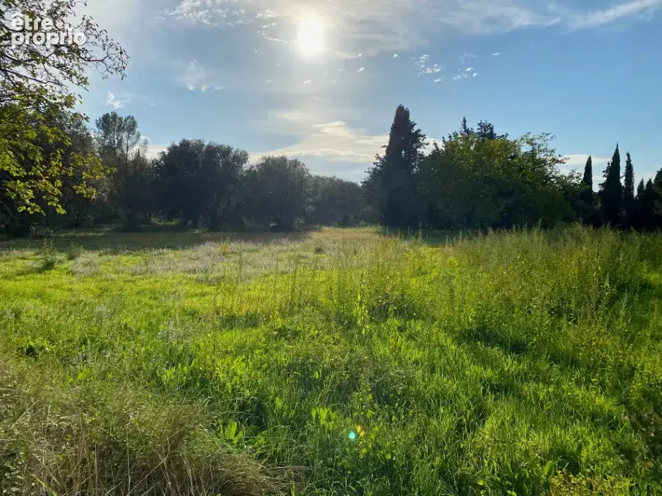 Terrain 926 m² à vendre à Grillon (84600) - photo 5