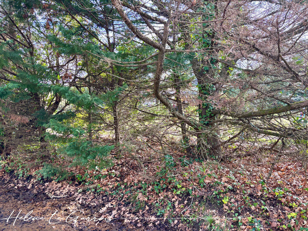 Appartement à GUJAN-MESTRAS