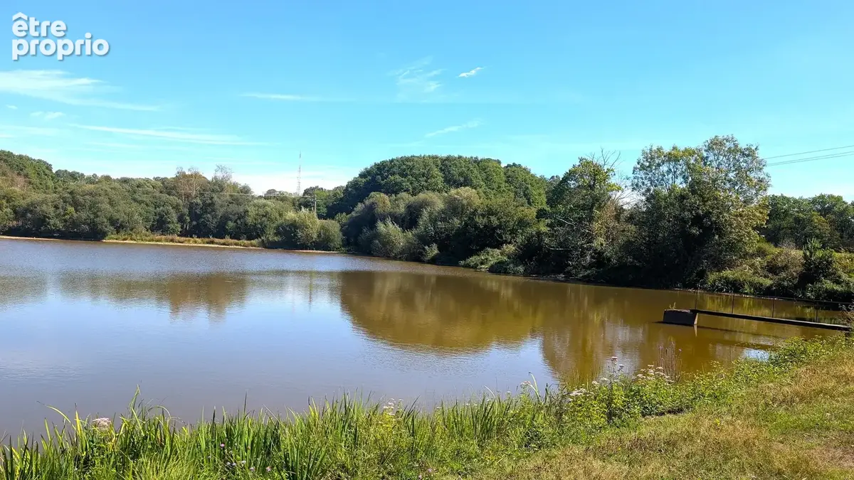 Propriété avec étang 9000m2 - photo 4