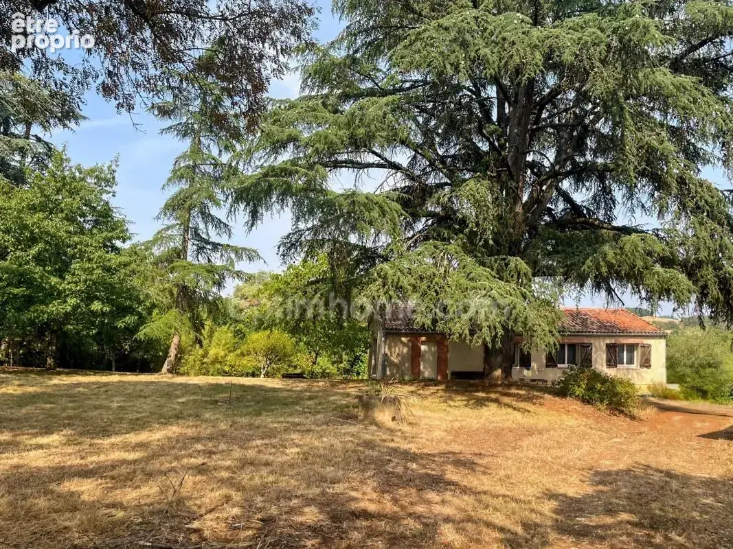 Propriete d'exception avec 8 hectares, 2 lacs - vue imprenable sur les pyrenes - castera vaerduzan (32) - photo 24