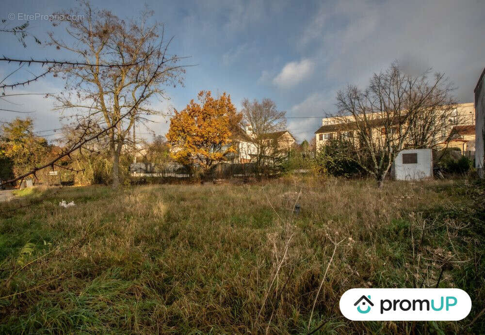 Terrain à VIERZON