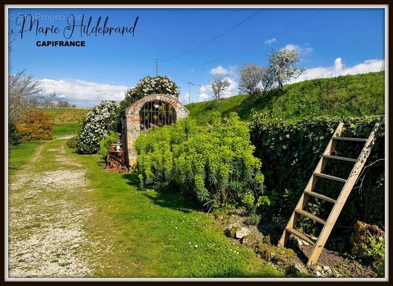 Maison de caractère + piscine + vue panoramique + dépendances – potentiel gîte – Tarn-et-Garonne (82) - photo 39