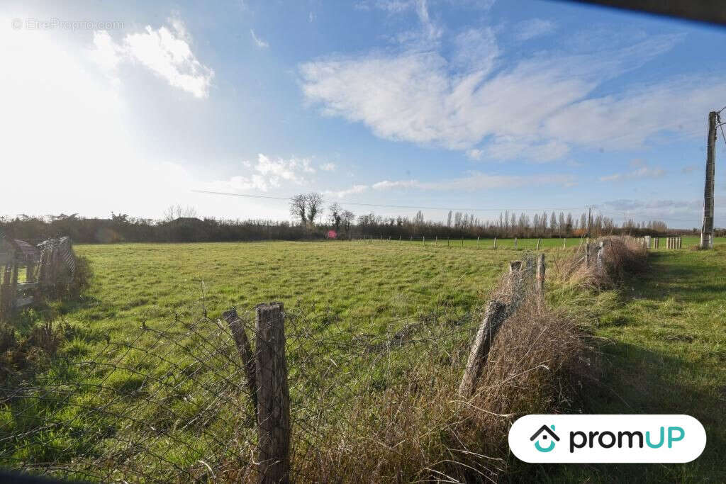 Terrain à CHEMILLY-SUR-YONNE