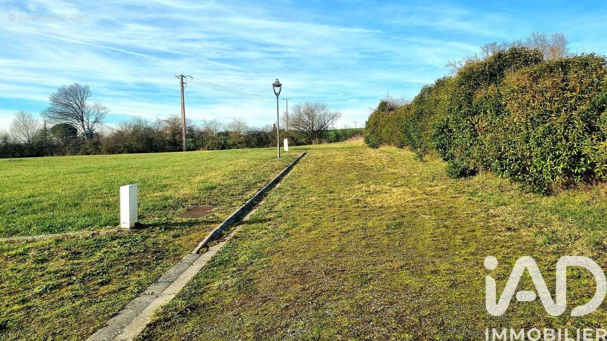 Photo 4 - Terrain à VALENCE-D'ALBIGEOIS