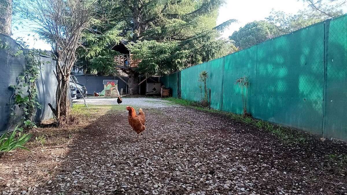 Maison à SAINT-ANDRE-DE-SANGONIS