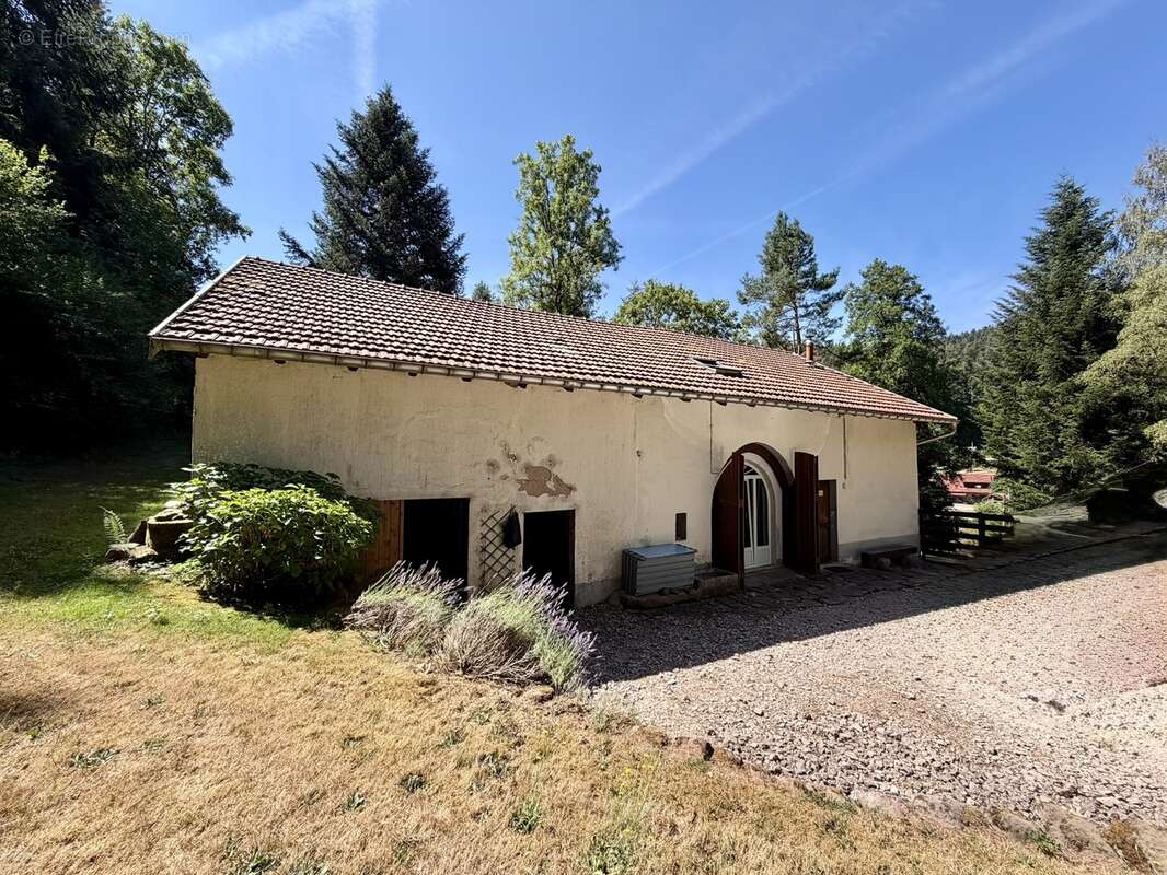 Magnifique ferme dans la forêt  - photo 17