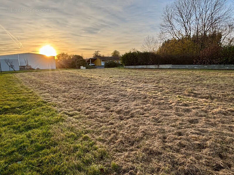 Terrain à TRIE-SUR-BAISE