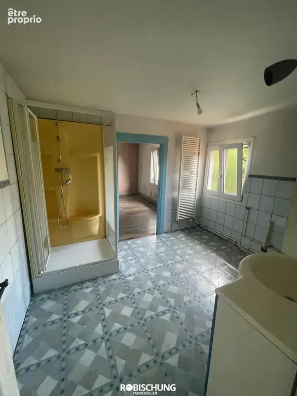 DANNEMARIE : Maison individuelle avec 2 appartements + dépendance - photo 5