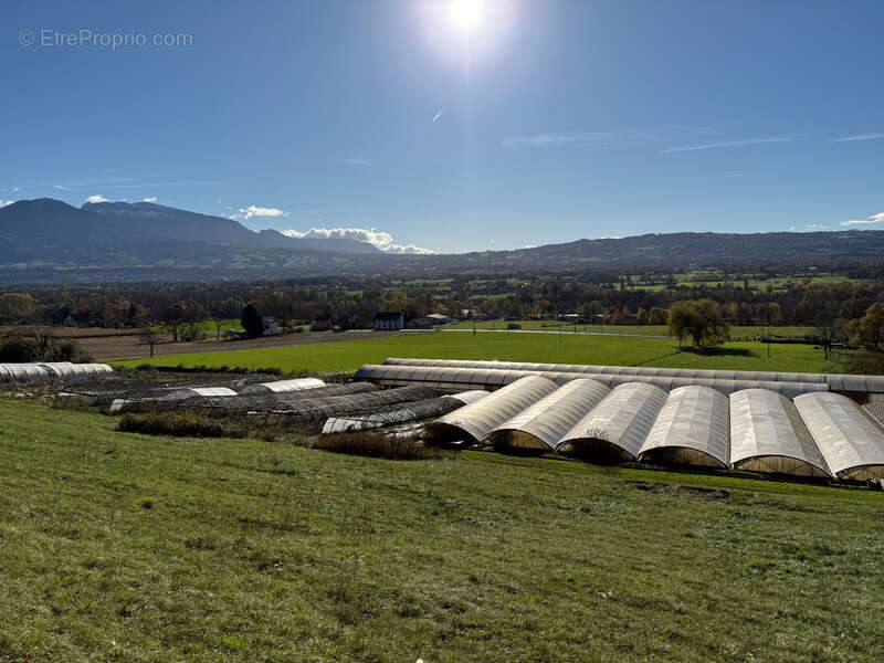 Maison à CONTAMINE-SUR-ARVE