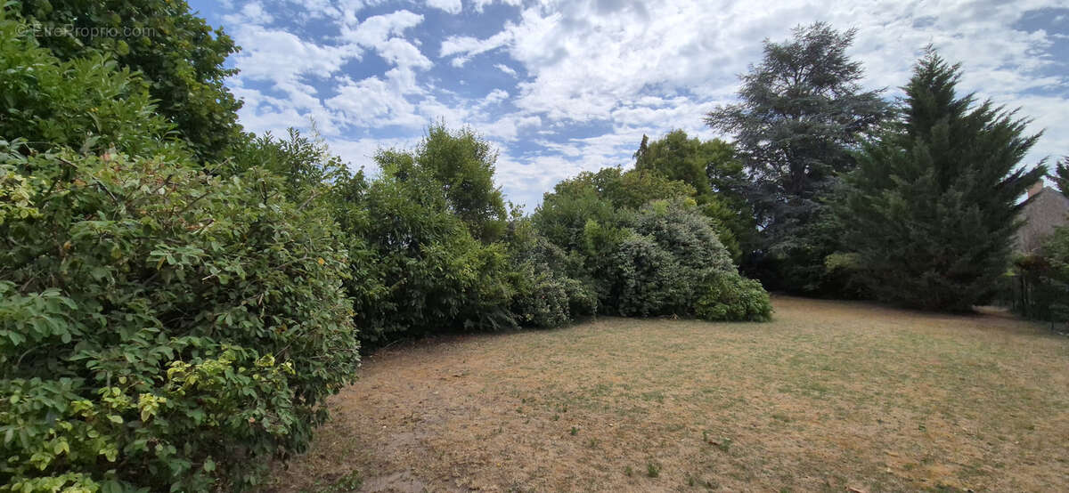 Maison à LAILLY-EN-VAL