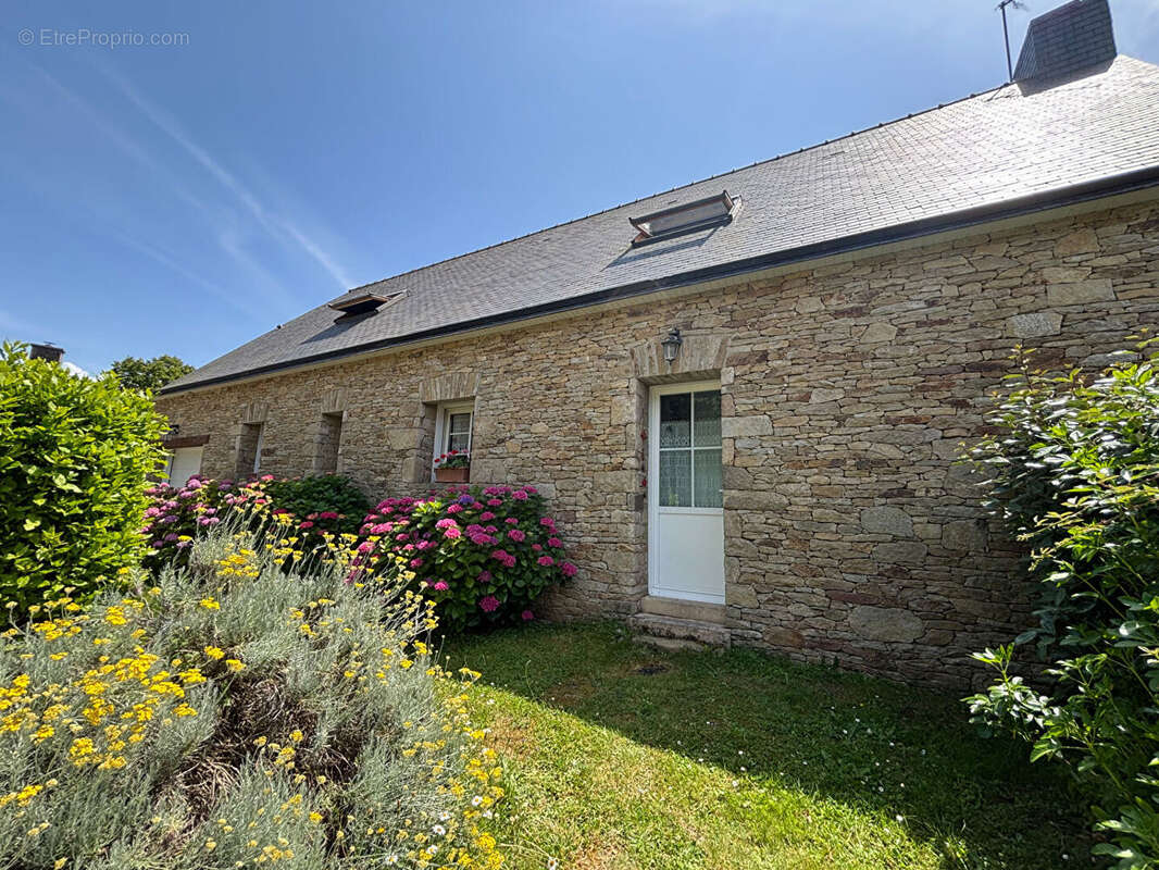 Maison à FEREL