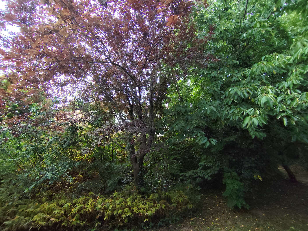 Maison à SAINT-GENIS-LES-OLLIERES