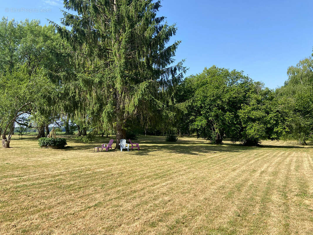 Maison à MONTIGNY-AUX-AMOGNES