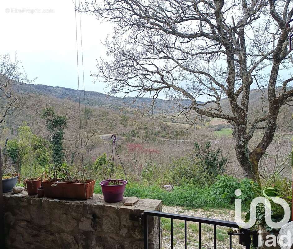 Photo 8 - Maison à SAINT-THOME