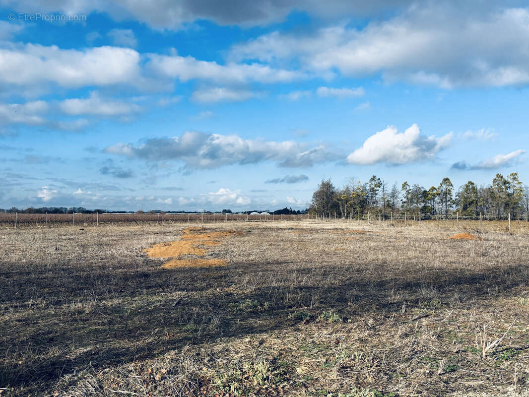 Maison à LANSARGUES