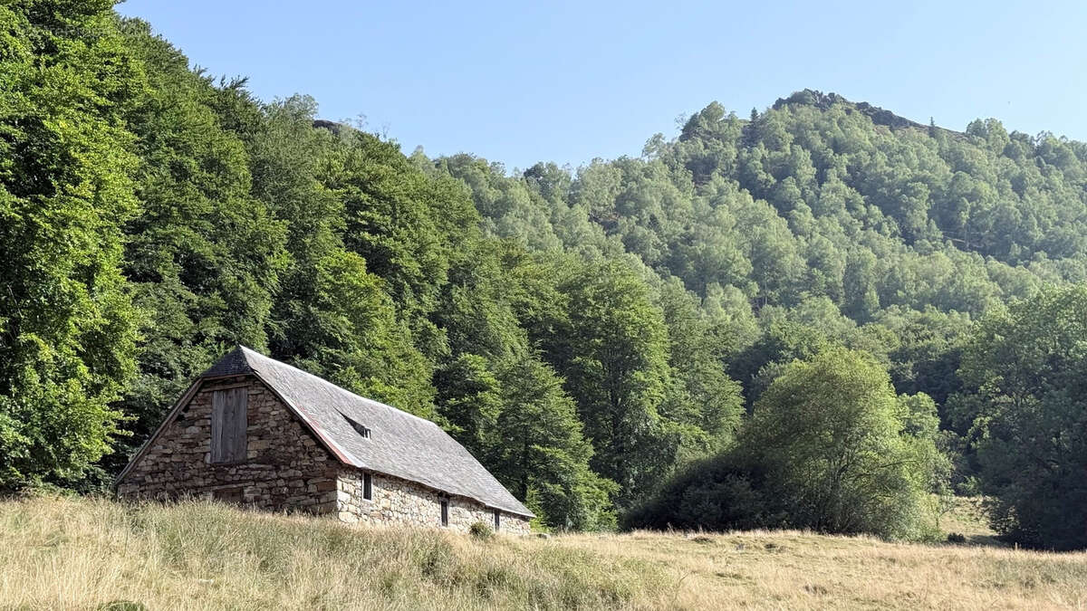 Grange sur les hauteurs en Val d'Azun - photo 12