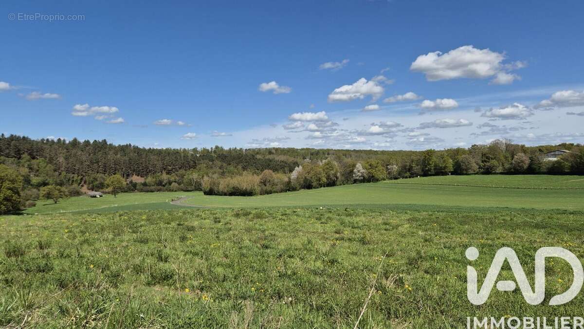 Terrain 1150 m² à La Neuville-Du-Bosc  - photo 3