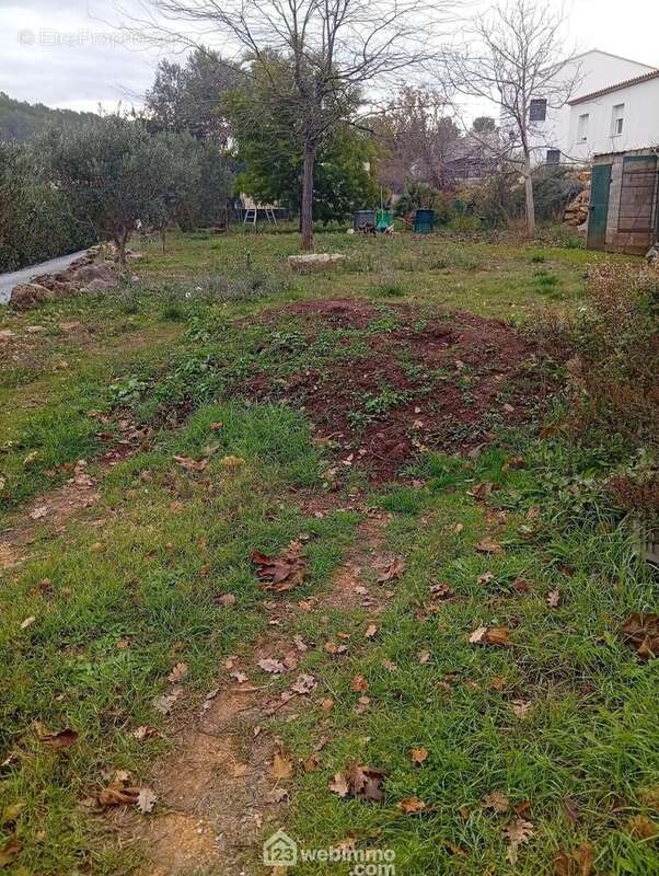 Terrain à LE THORONET