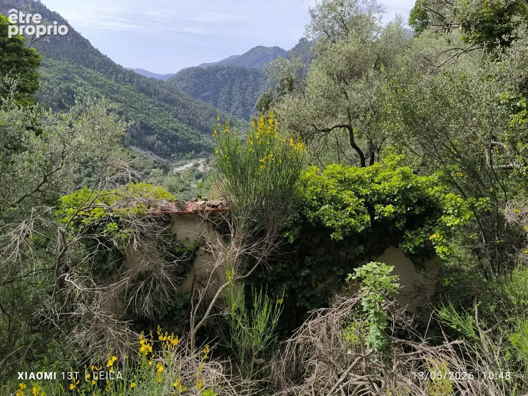 Terrain 5 709 m² à vendre à Breil-Sur-Roya (06540) - photo 2