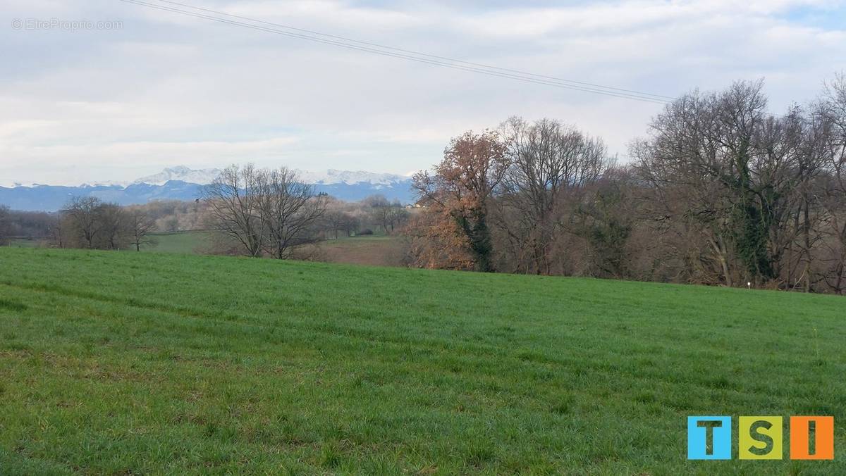 Terrain à CASSAGNABERE-TOURNAS