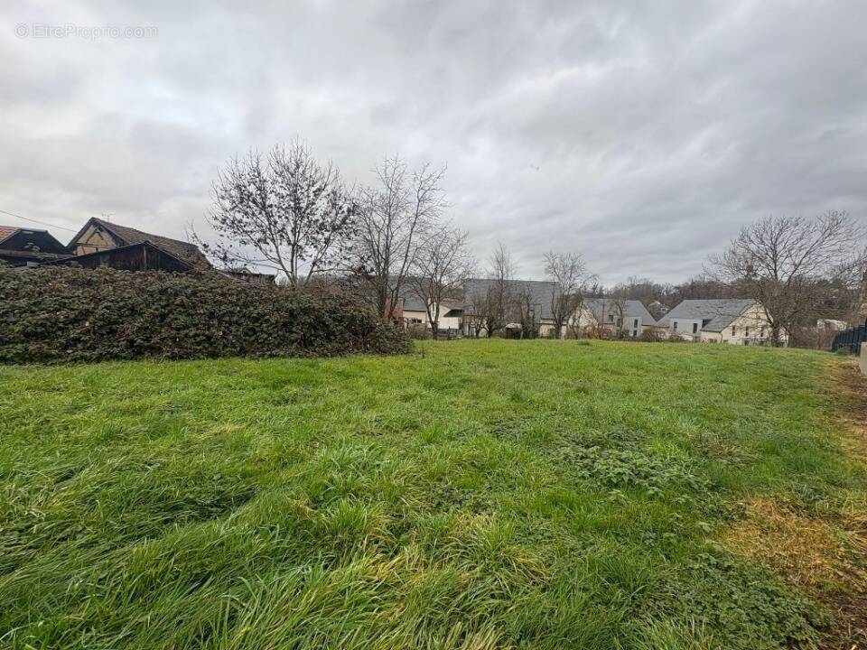 Terrain à JETTINGEN