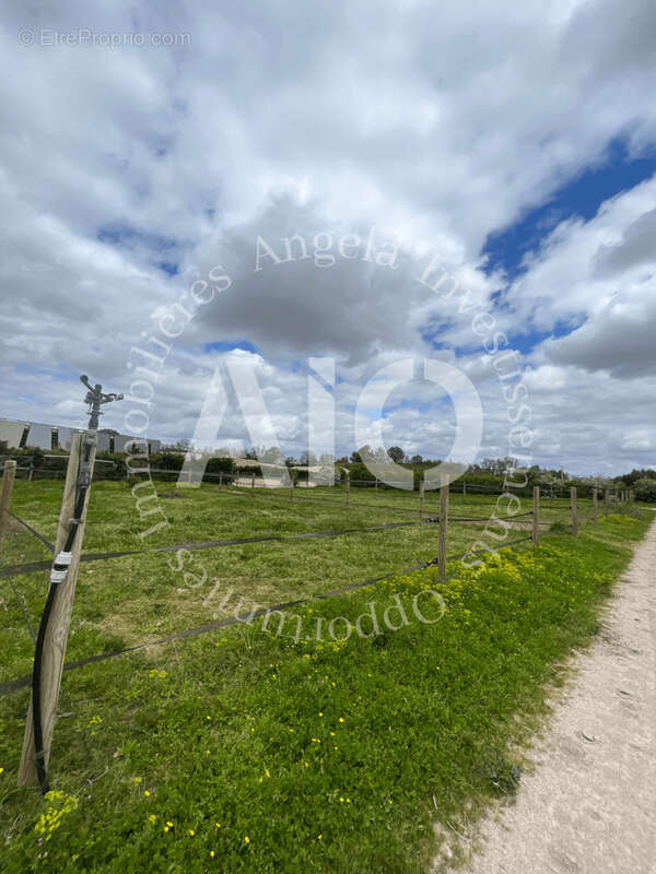 Terrain à LA BOISSE