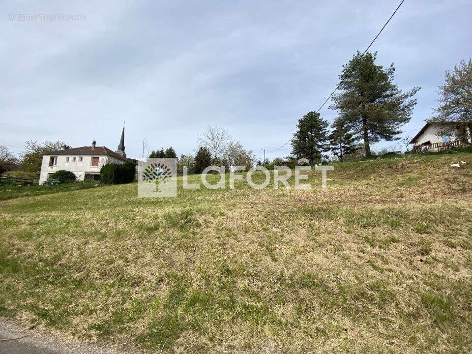 Terrain à COUSANCE