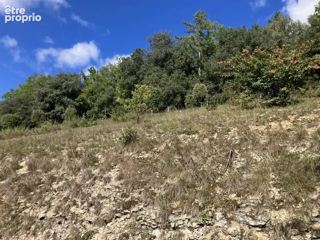 Terrain constructible de 7723m2 avec vue sur la Dordogne à Castels-et-Bézenac - photo 4