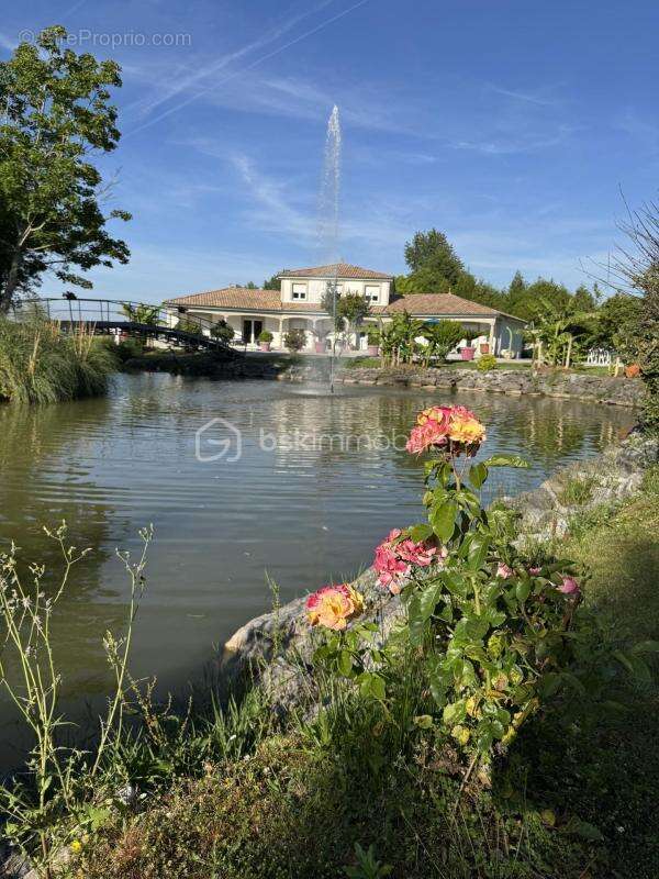 Magnifique propriete de 370m² - photo 3
