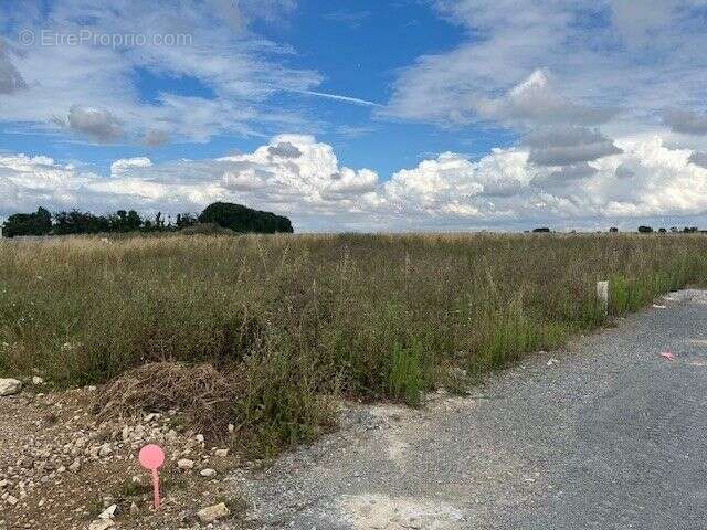 Terrain à DOMPIERRE-SUR-MER