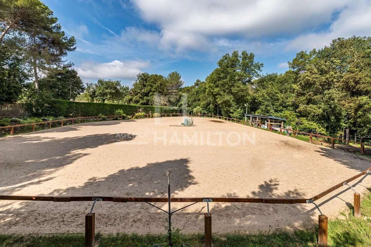 Maison à ROQUEFORT-LES-PINS