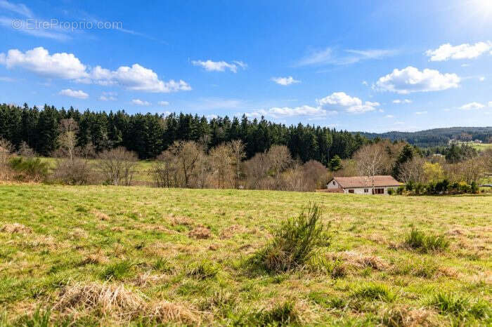 Terrain à RAUCOULES