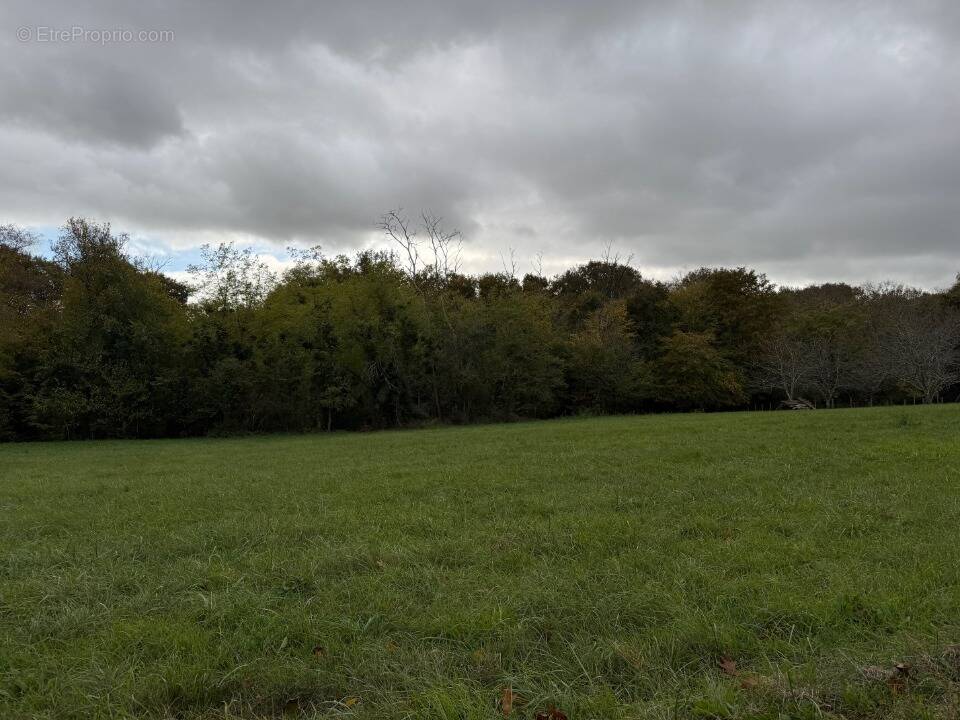 Terrain à SAINT-EXUPERY