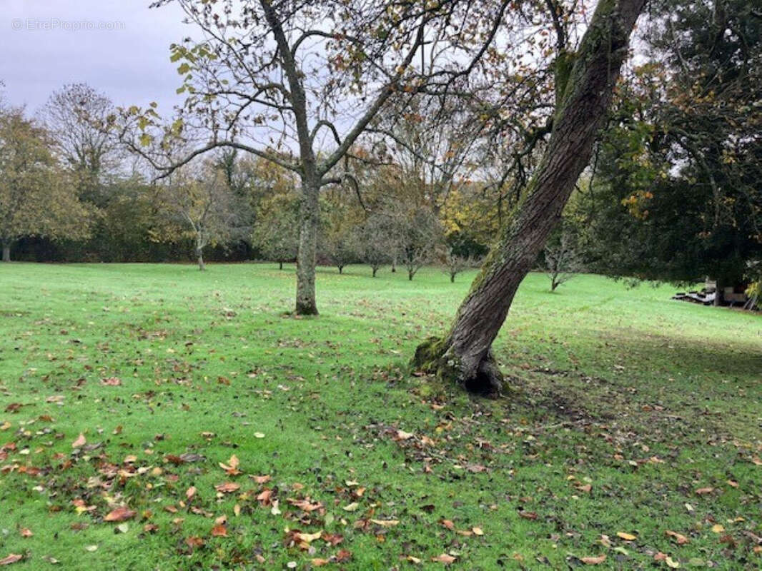 Maison à PONT-L&#039;EVEQUE