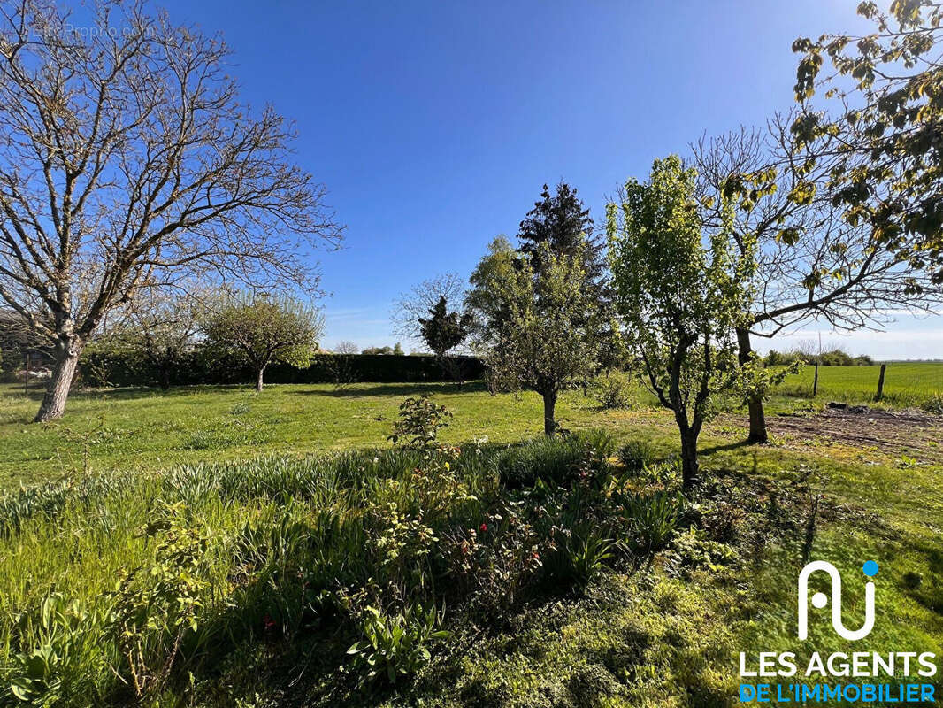 Terrain à CHARSONVILLE