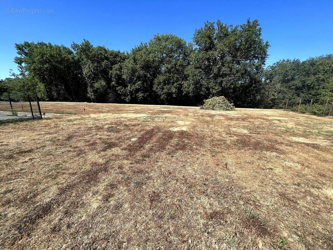 Photo 1 - Terrain à AGEN