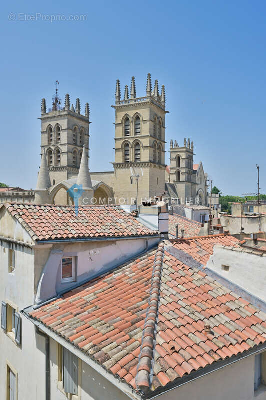 Appartement à MONTPELLIER