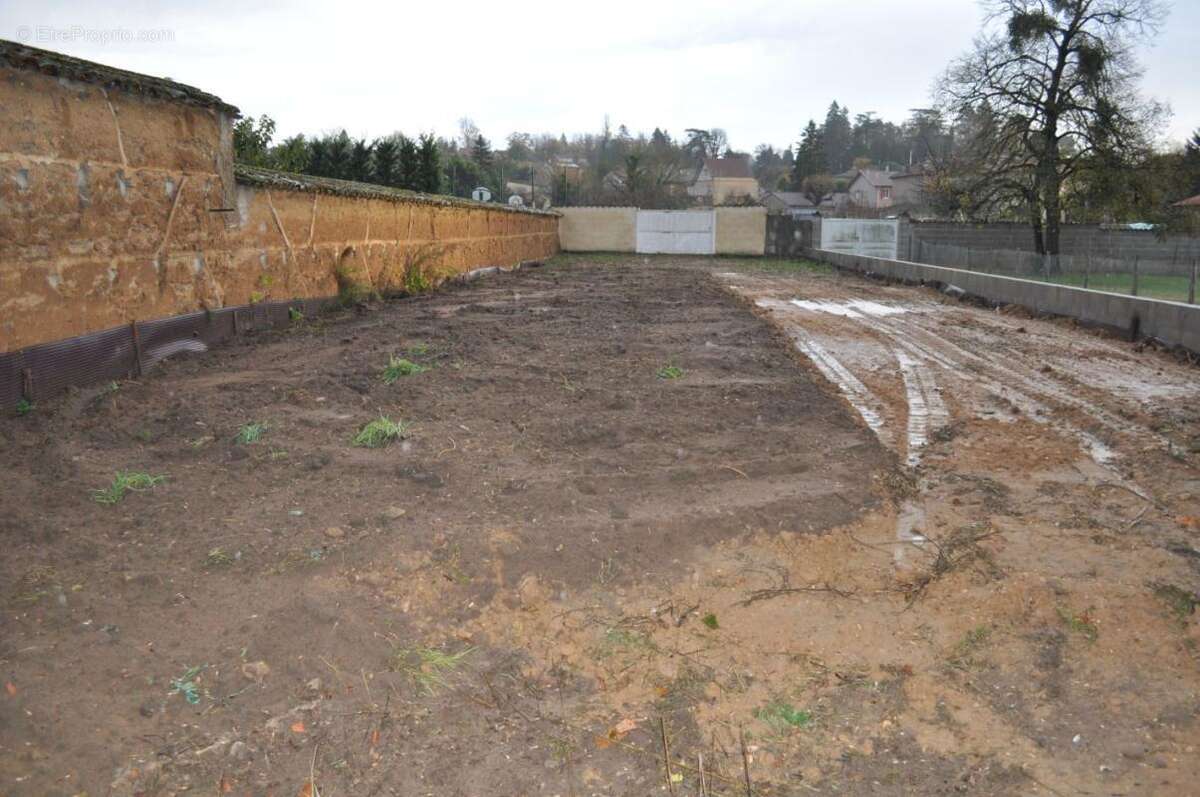 Maison à MONTMERLE-SUR-SAONE