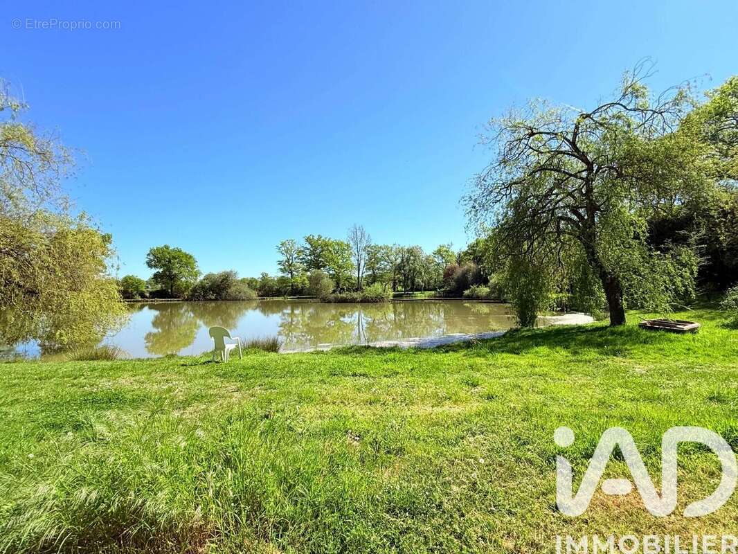 Photo 5 - Terrain à AVAILLES-LIMOUZINE