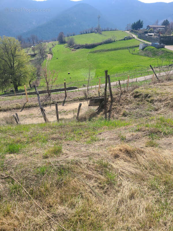 Terrain à MONESTIER