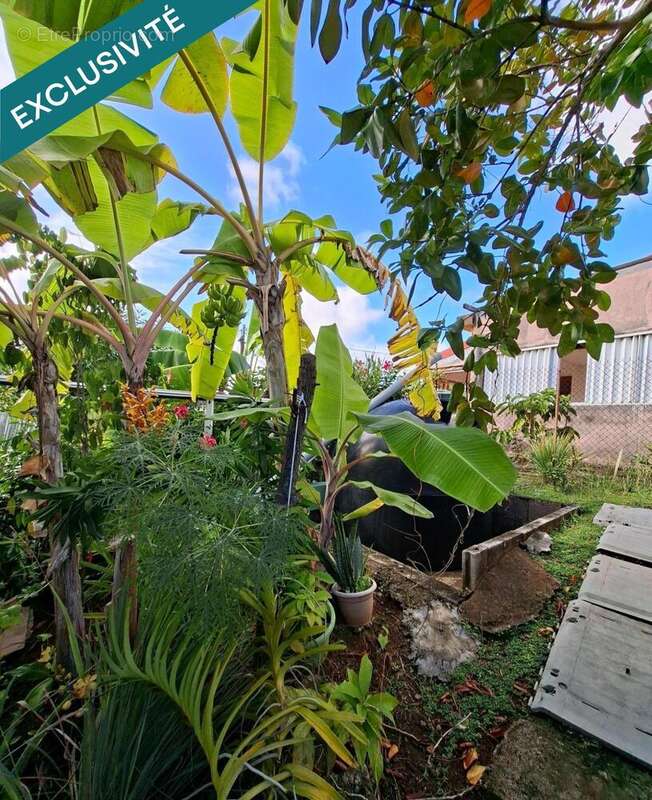 Photo 5 - Maison à LE ROBERT