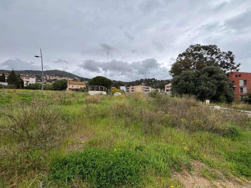 Terrain 415 m² à Bormes-Les-Mimosas  - photo 4