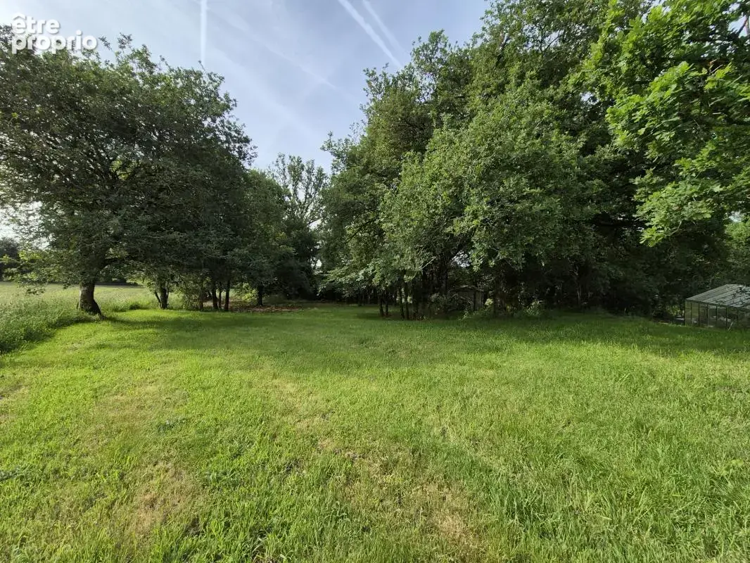 ncien Presbytère de Charme avec beaux volumes et terrain att - photo 7