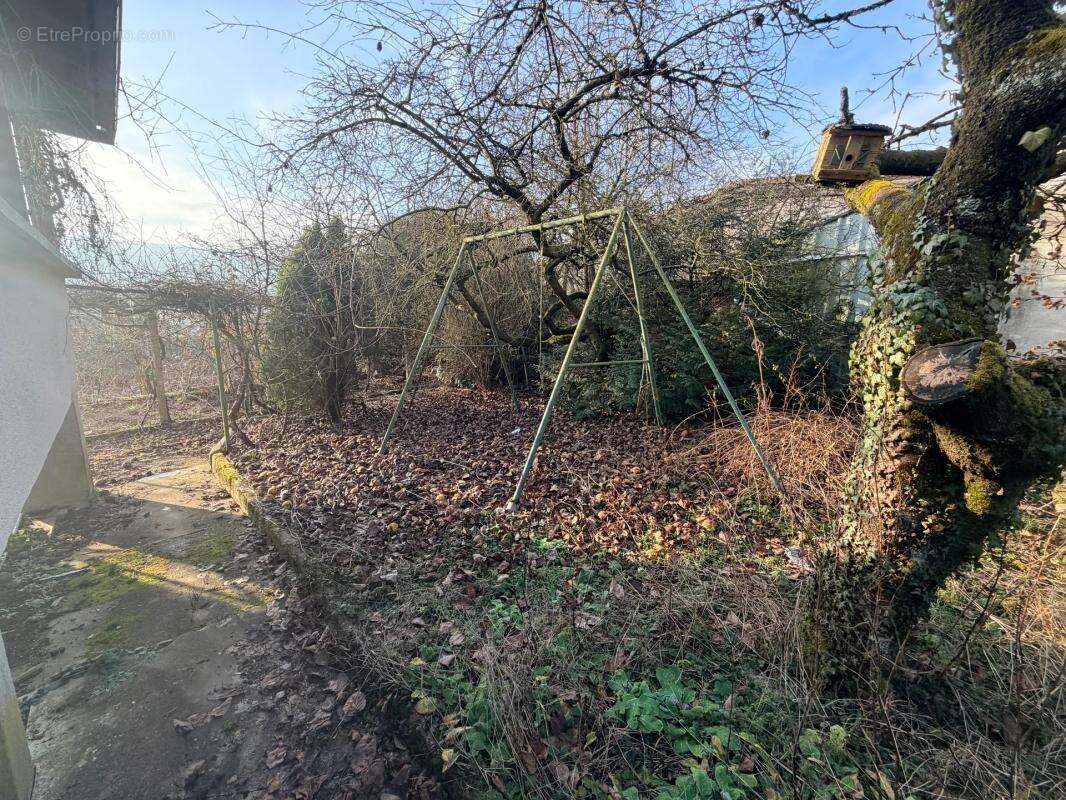 Maison à MARANGE-SILVANGE