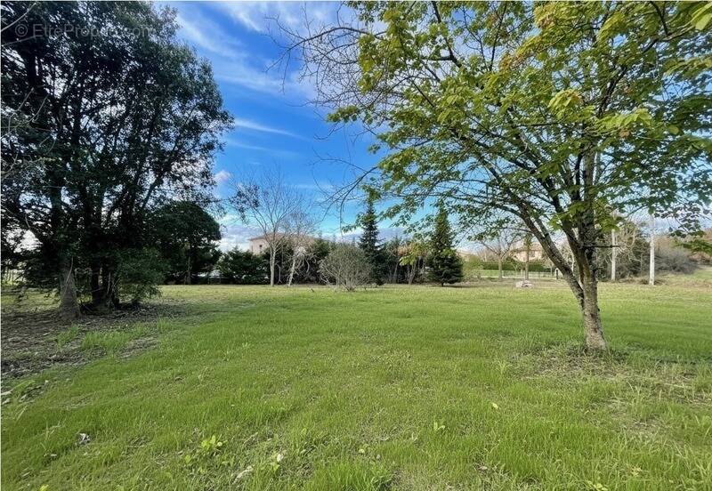 Terrain à SAINT-JEAN