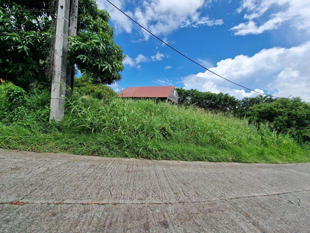 Terrain à LE VAUCLIN